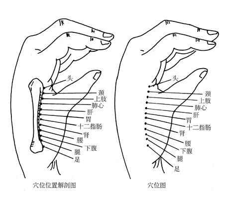 陽西穴